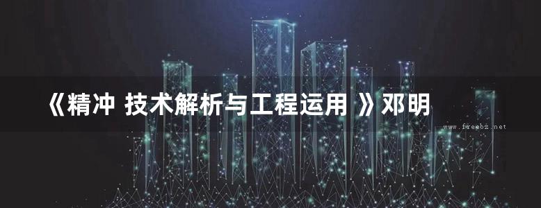 《精冲 技术解析与工程运用 》邓明 吕琳  2017年版